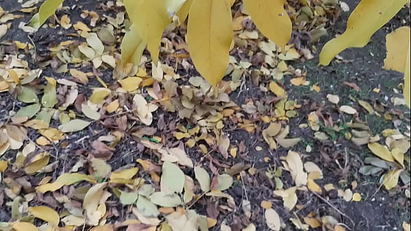 Our autumn romantic sex in a hut Lesbian Illusion Girls