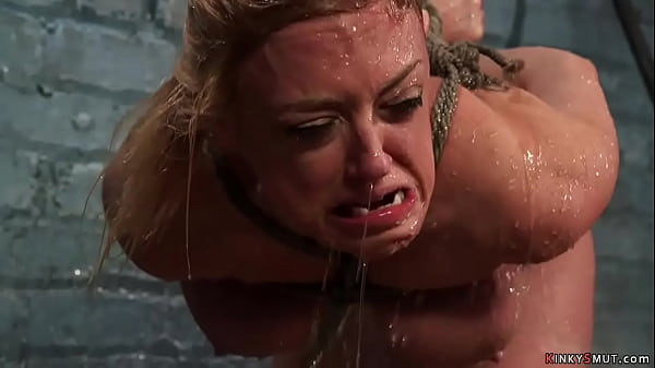 Hundodesin179k - Best Anal Action HD